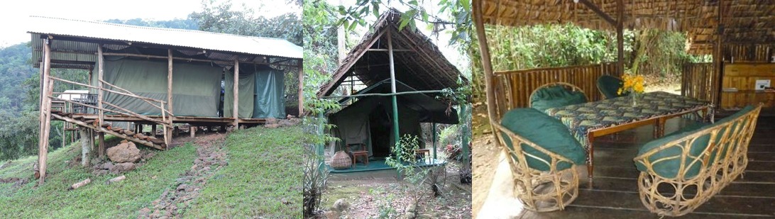 Gorilla Conservation Camp