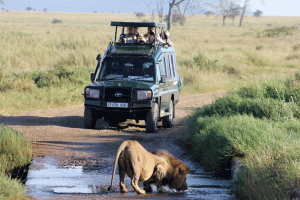 10 days Rwanda safari tour