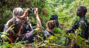 14 Days wildlife tour Rwanda gorilla trekking safari Uganda 